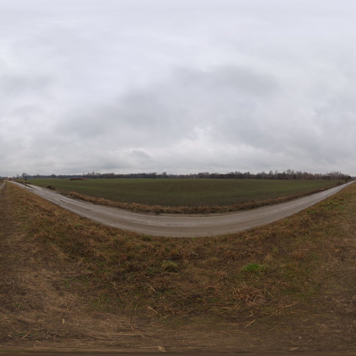 Mud Road HDRI