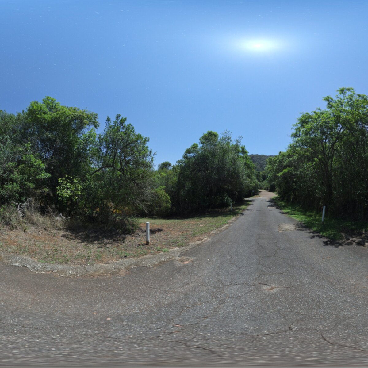 Narrow Moonlit Road HDRI