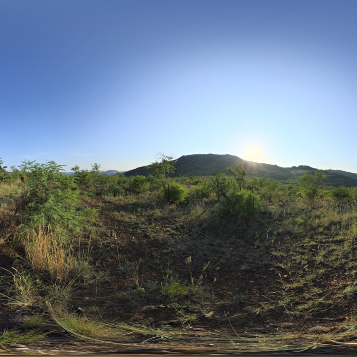 Noga HDRI