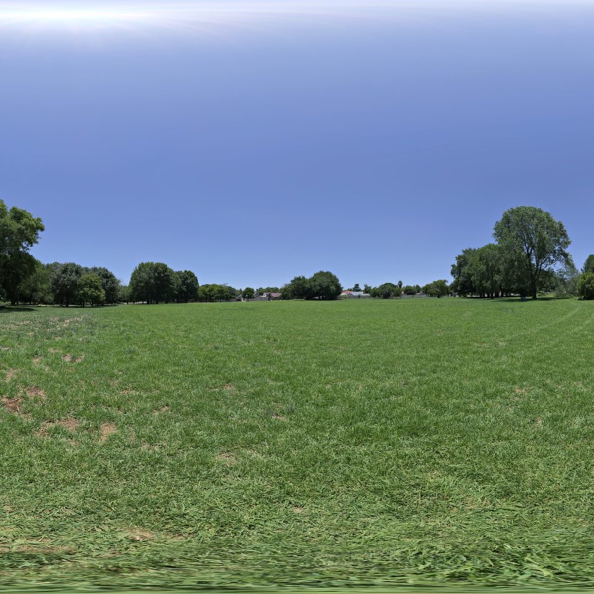 Noon Grass HDRI