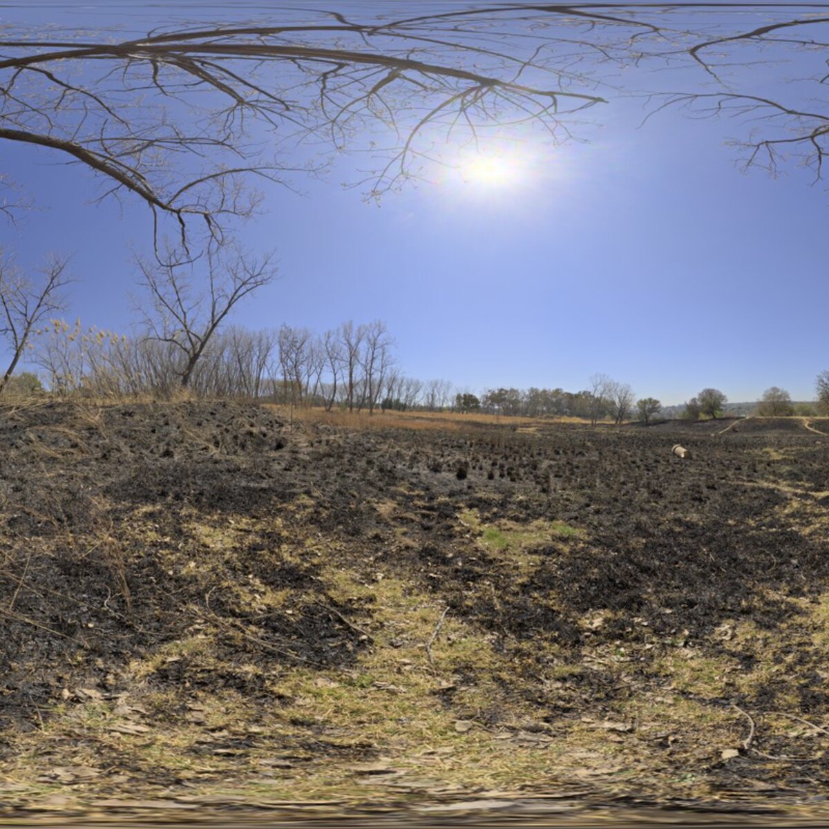 Partial Eclipse HDRI