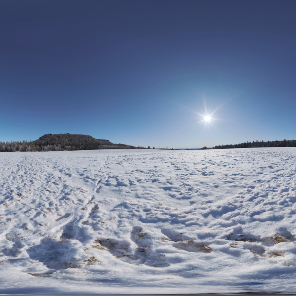Passendorf Snow HDRI