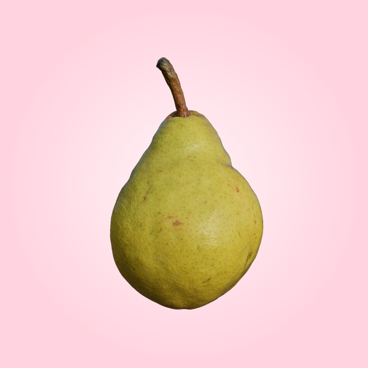 Pear 004