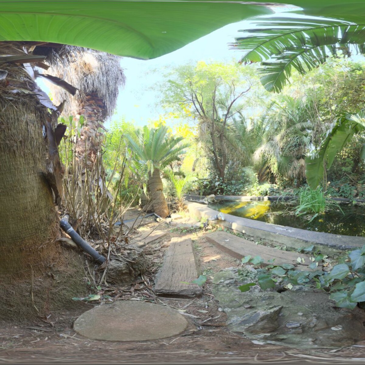 Pond HDRI