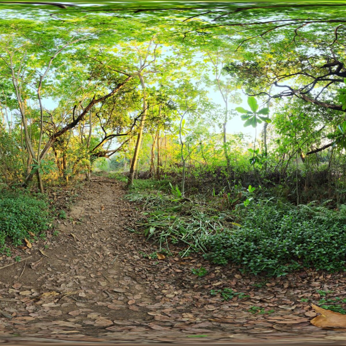 River Walk 1 HDRI