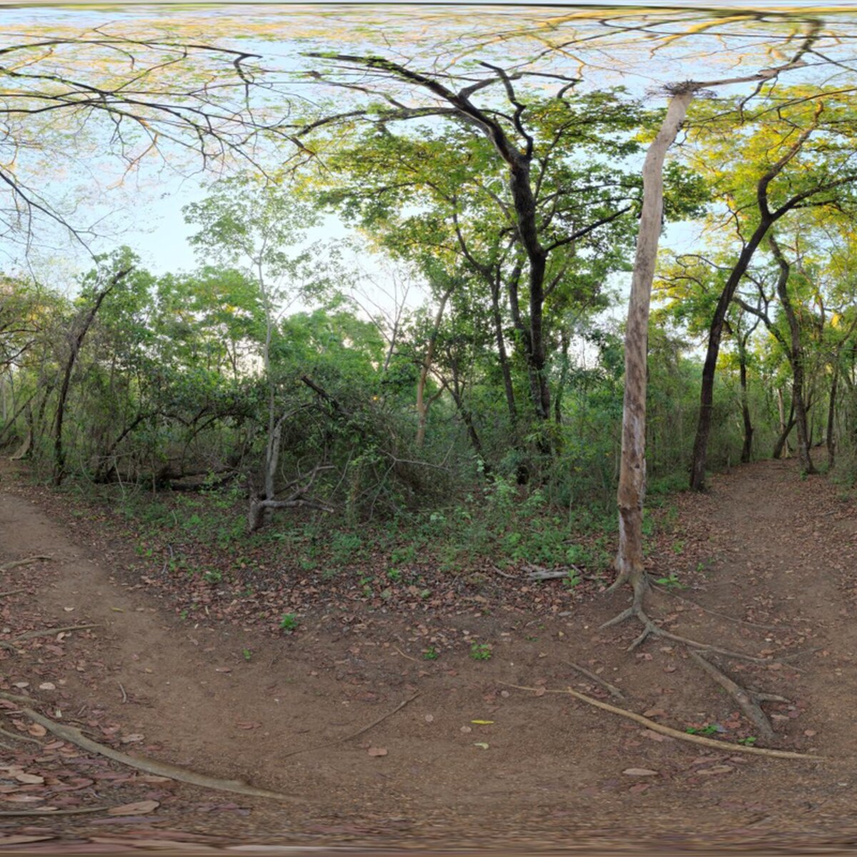 River Walk 2 HDRI