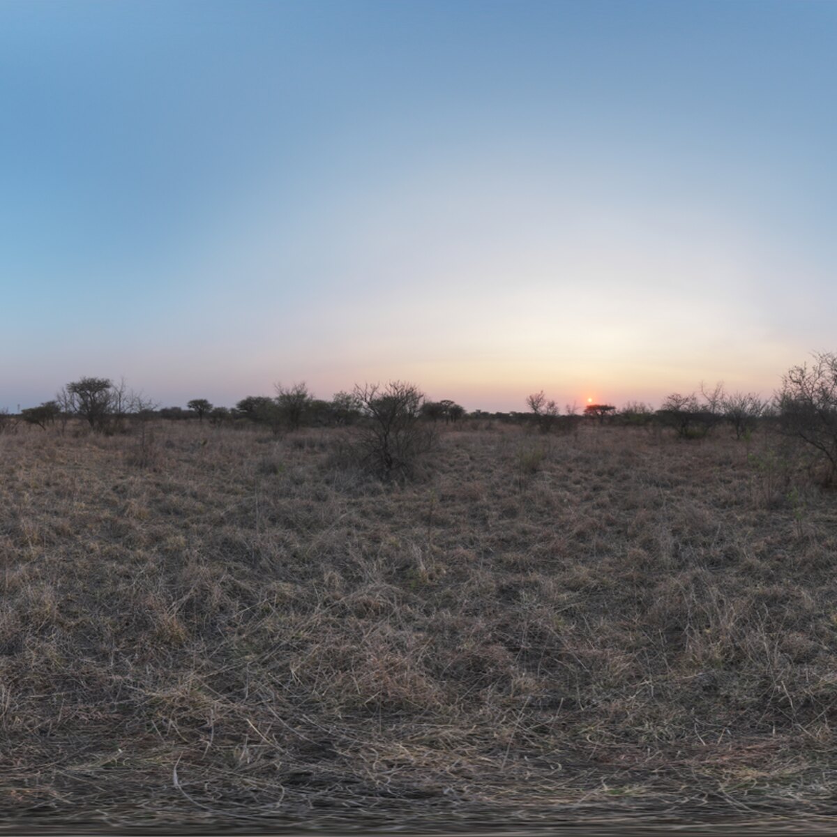 Safari Sunset HDRI