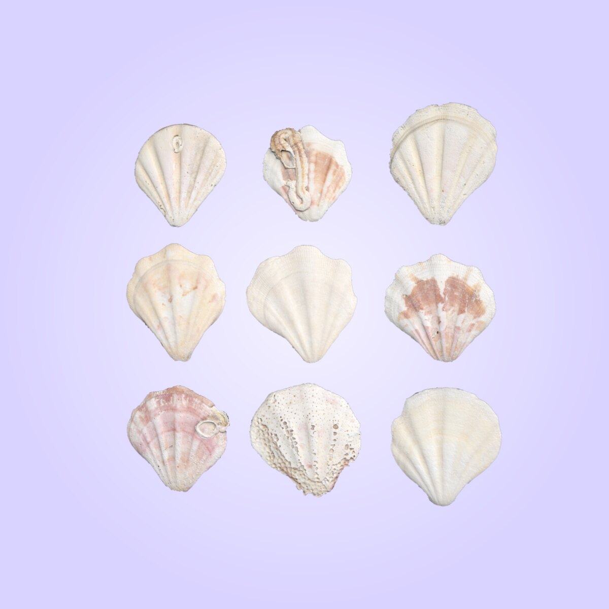 Shell Set 001 Material