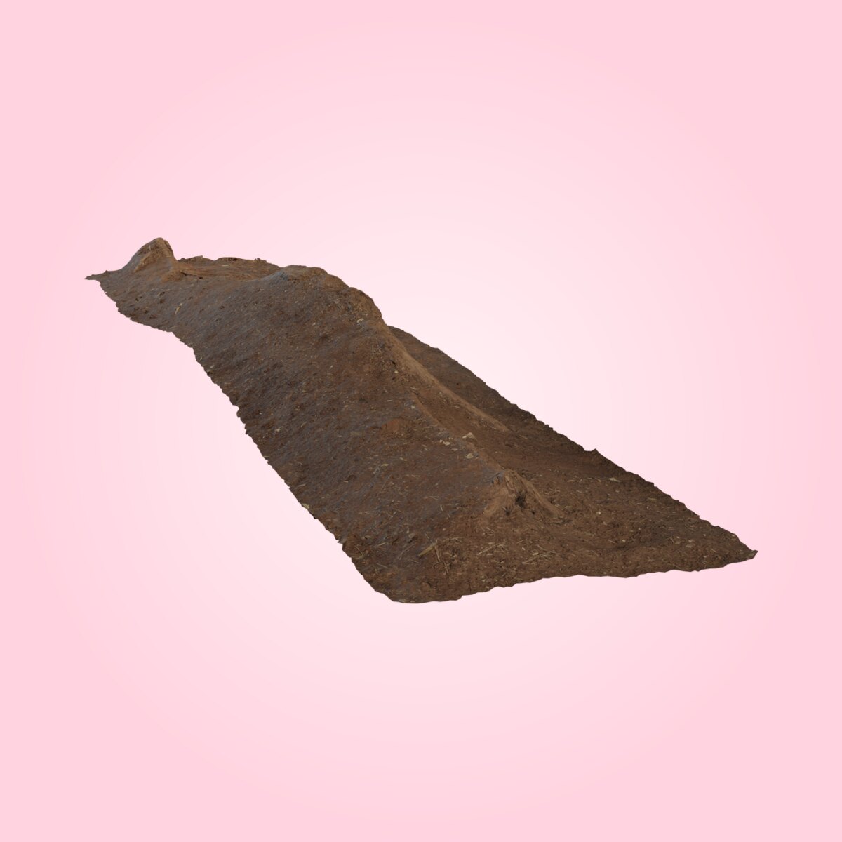 Single Root