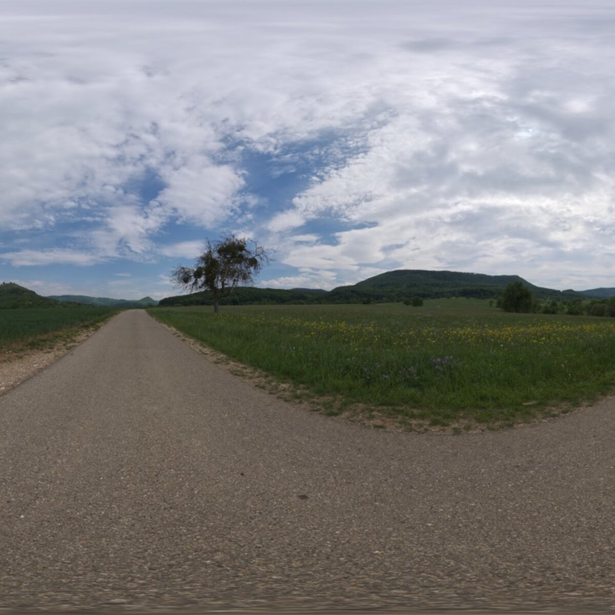 Small Rural Road HDRI