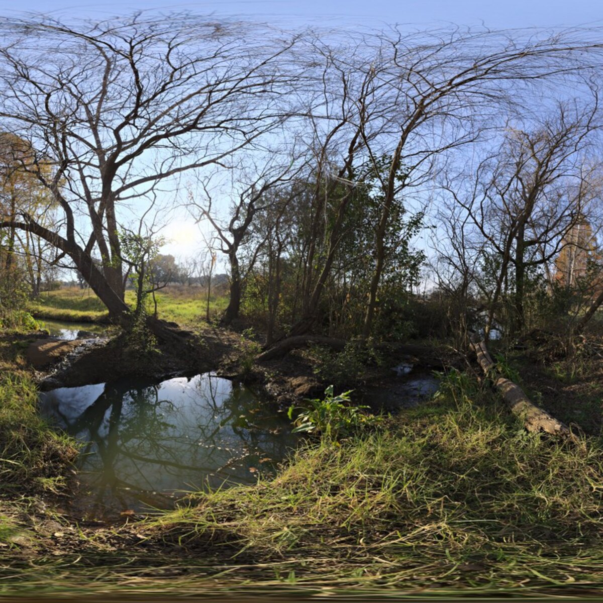 Stream HDRI