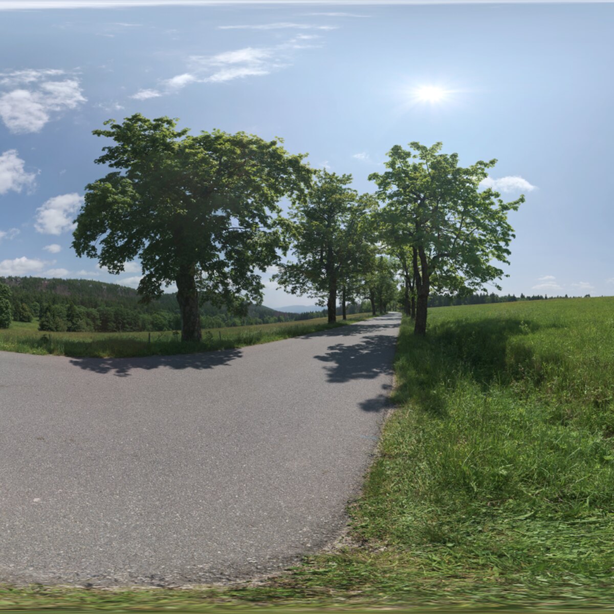 Sunny Country Road HDRI