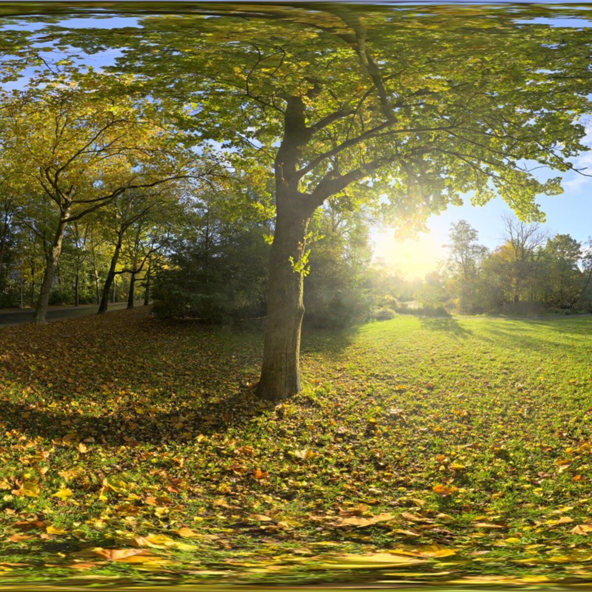 Sunny Vondelpark HDRI