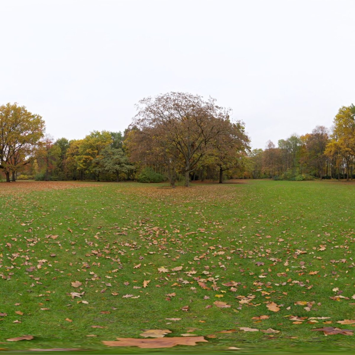 Tiergarten HDRI