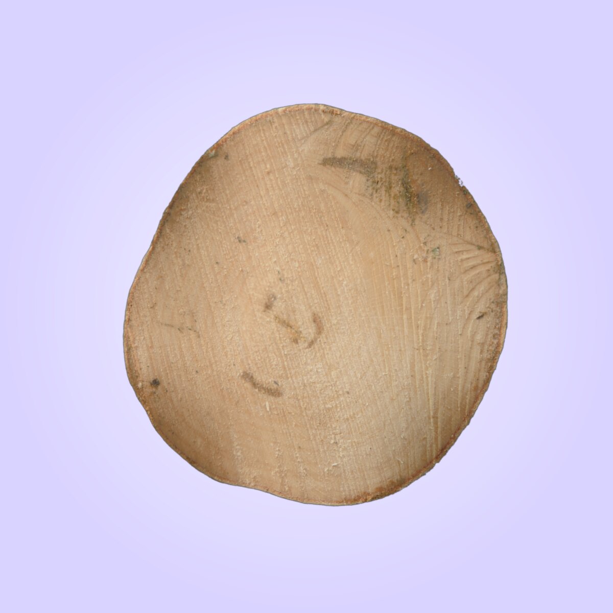 Tree End 001 Material
