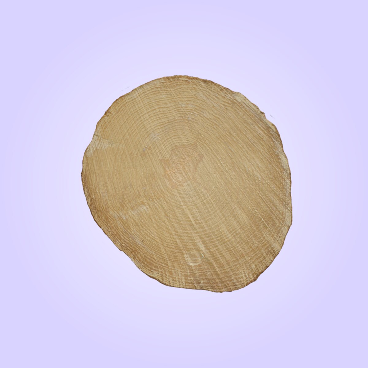 Tree End 004 Material