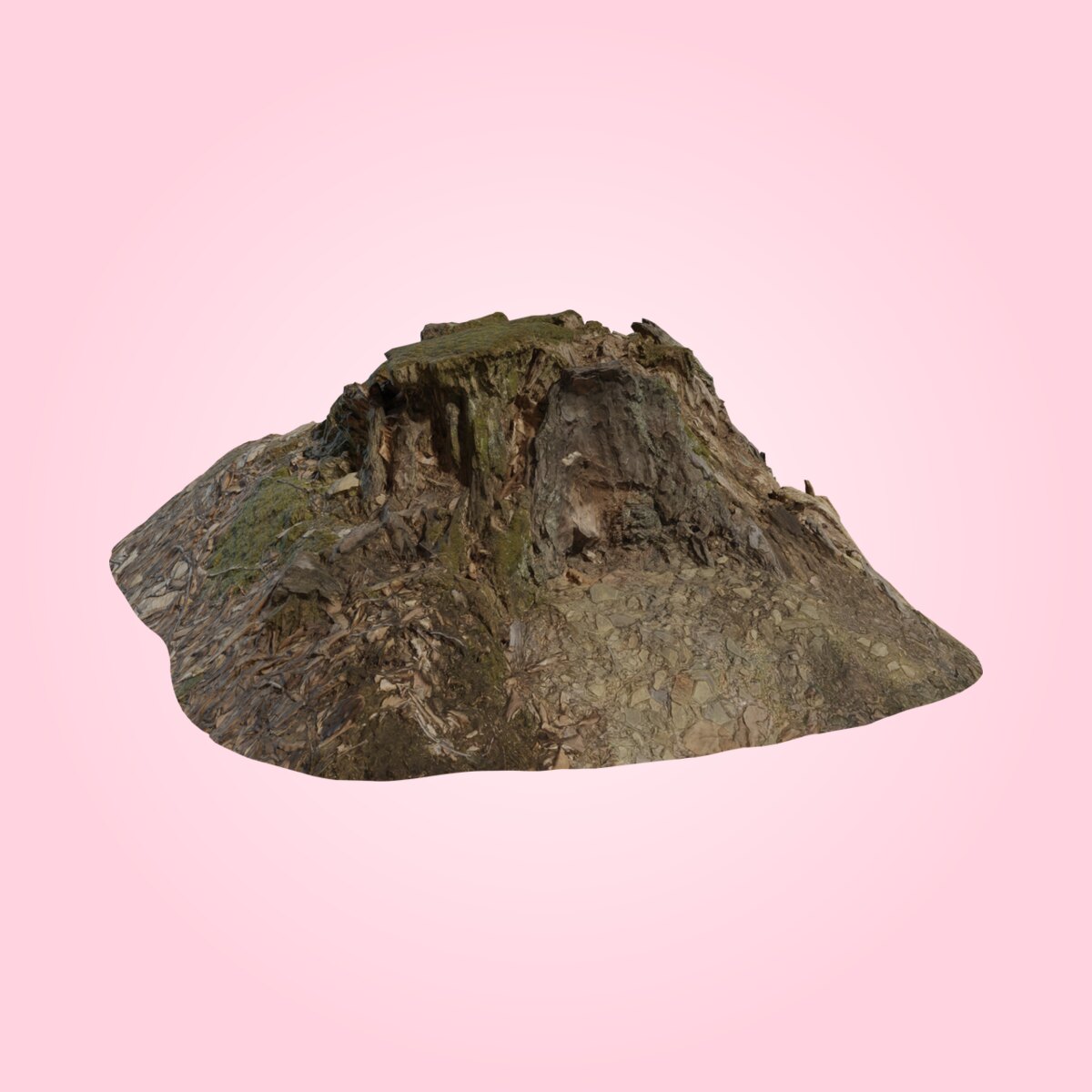 Tree Stump 01