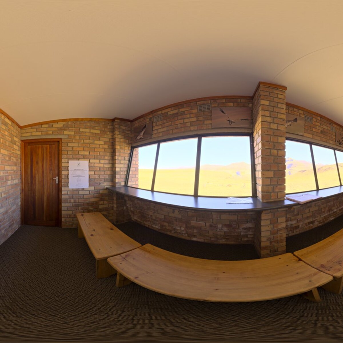 Vulture Hide HDRI