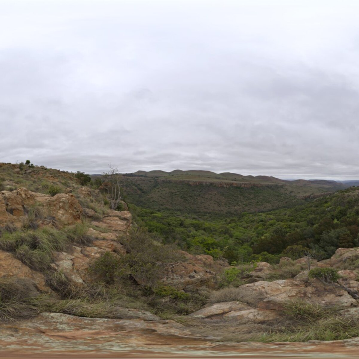 Waterbuck Trail HDRI