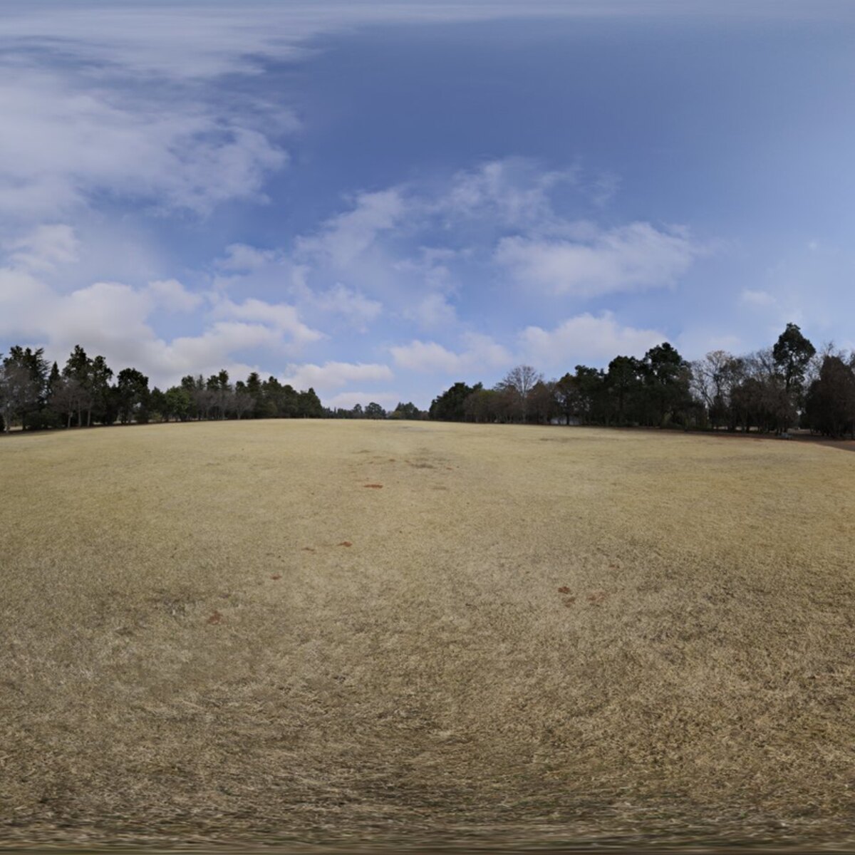 Yellow Field HDRI